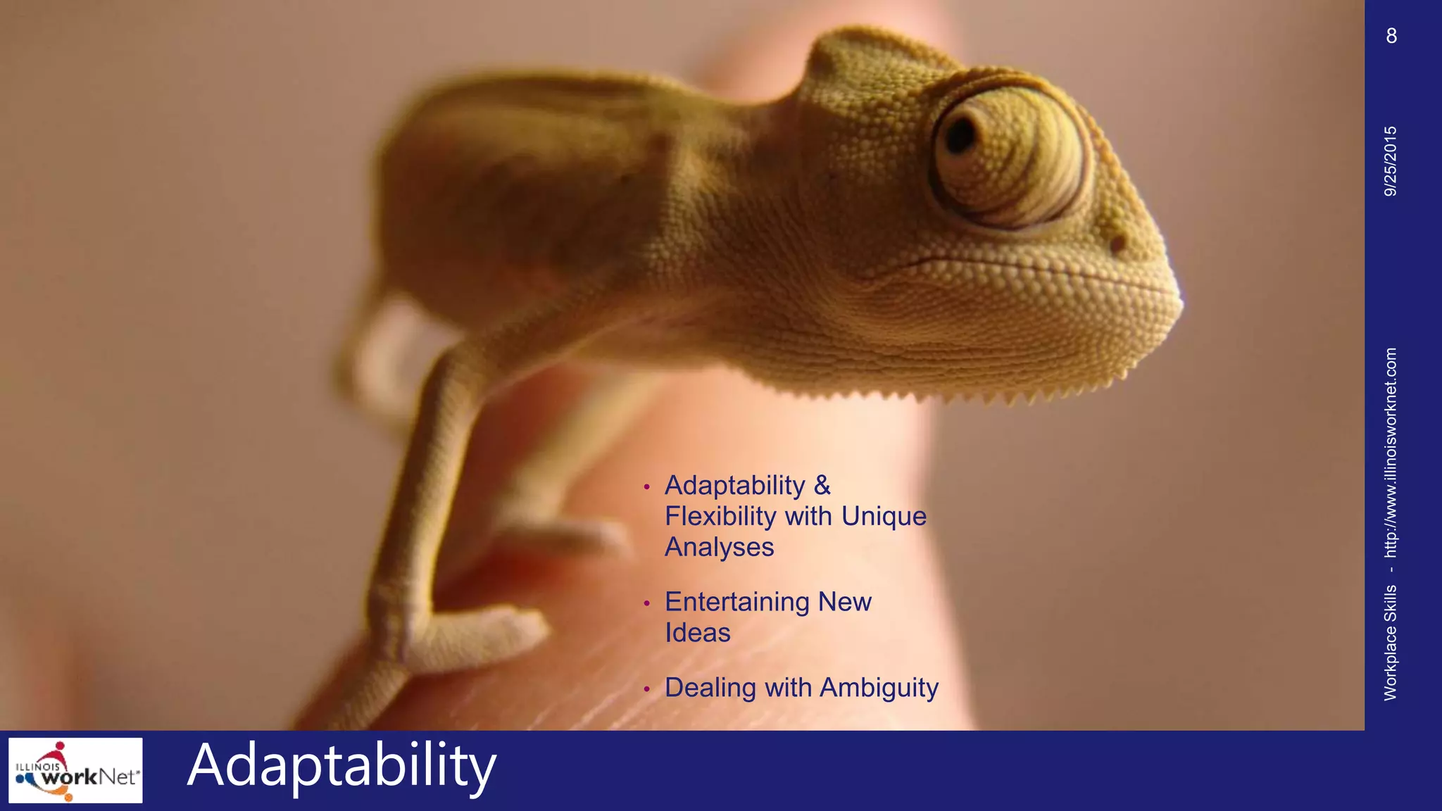 Adaptability
• Adaptability &
Flexibility with Unique
Analyses
• Entertaining New
Ideas
• Dealing with Ambiguity
9/25/2015WorkplaceSkills-http://www.illinoisworknet.com
8
 