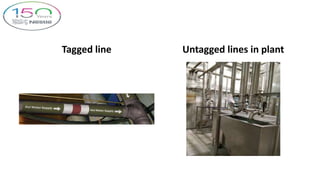 Tagged line Untagged lines in plant
 