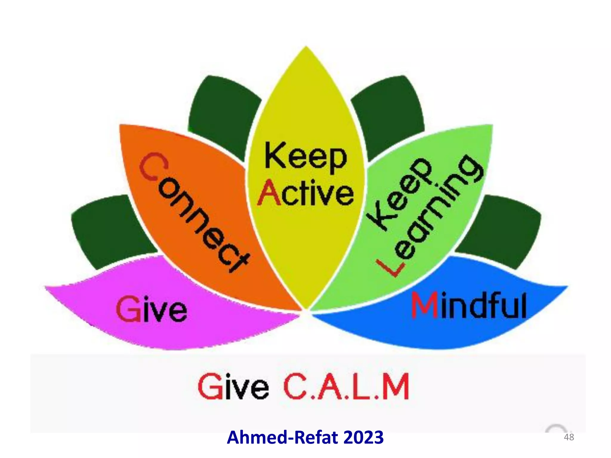 Ahmed-Refat 2023 48
 