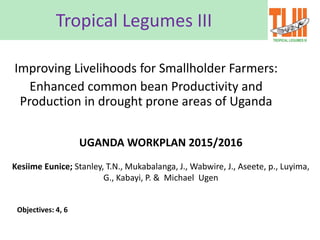 Tropical Legumes III
Improving Livelihoods for Smallholder Farmers:
Enhanced common bean Productivity and
Production in drought prone areas of Uganda
UGANDA WORKPLAN 2015/2016
Kesiime Eunice; Stanley, T.N., Mukabalanga, J., Wabwire, J., Aseete, p., Luyima,
G., Kabayi, P. & Michael Ugen
Objectives: 4, 6
 