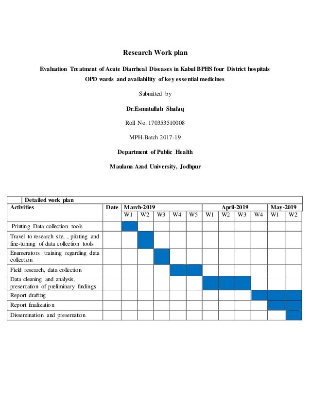 plan of work in research