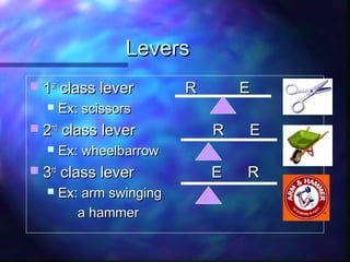 LeversLevers
 11stst
class lever R Eclass lever R E
 Ex: scissorsEx: scissors
 22ndnd
class lever R Eclass lever R E
 Ex: wheelbarrowEx: wheelbarrow
 33rdrd
class lever E Rclass lever E R
 Ex: arm swingingEx: arm swinging
a hammera hammer
 