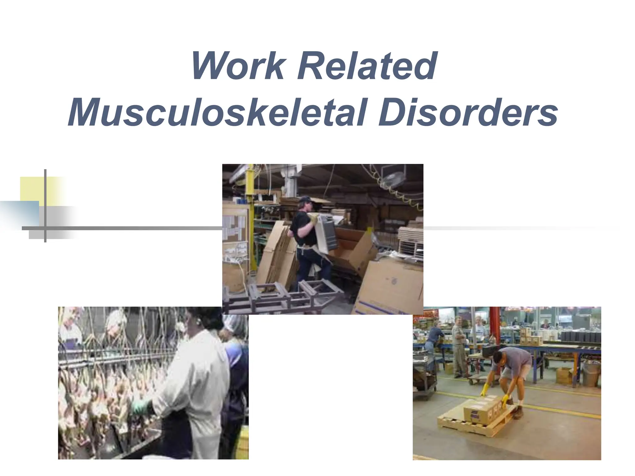 Work Related Musculoskeletal Disorders.ppt