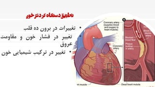 ‫خون‬‫گردش‬‫دستگاه‬‫تطبیق‬
•‫تغییرات‬‫در‬‫برون‬‫ده‬‫قلب‬
•‫تغییر‬‫در‬‫فشار‬‫خون‬‫و‬‫مقاومت‬
‫عروق‬
•‫تغییر‬‫در‬‫ترکیب‬‫شیمیای‬‫ی‬‫خون‬
33
 