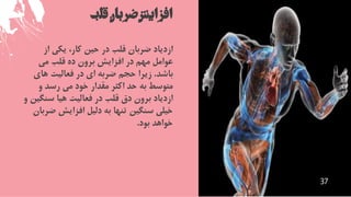 ‫قلب‬‫ضربان‬‫افزایش‬
‫از‬ ‫يكي‬ ،‫كار‬ ‫حين‬ ‫در‬ ‫قلب‬ ‫ضربان‬ ‫ازدياد‬
‫مي‬ ‫قلب‬ ‫ده‬ ‫برون‬ ‫افزايش‬ ‫در‬ ‫مهم‬ ‫عوامل‬
‫باشد‬.‫هاي‬ ‫فعاليت‬ ‫در‬ ‫اي‬ ‫ضربه‬ ‫حجم‬ ‫زيرا‬
‫و‬ ‫رسد‬ ‫مي‬ ‫خود‬ ‫مقدار‬ ‫اكثر‬ ‫حد‬ ‫به‬ ‫متوسط‬
‫سنگ‬ ‫هيا‬ ‫فعاليت‬ ‫در‬ ‫قلب‬ ‫دق‬ ‫برون‬ ‫ازدياد‬‫و‬ ‫ين‬
‫ض‬ ‫افزايش‬ ‫دليل‬ ‫به‬ ‫تنها‬ ‫سنگين‬ ‫خيلي‬‫ربان‬
‫بود‬ ‫خواهد‬.
37
 