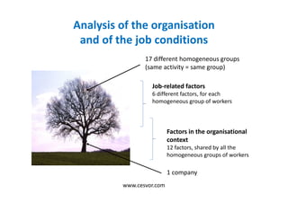 Analysis of the organisation
and of the job conditions
Factors in the organisational
context
12 factors, shared by all the
homogeneous groups of workers
Job-related factors
6 different factors, for each
homogeneous group of workers
1 company
17 different homogeneous groups
(same activity = same group)
www.cesvor.com
 