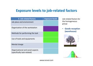 Exposure levels to job-related factors
6 Job-related factors Exposure levels
Job place and environment
Organisation of the workstation
Methods for performing the task
Use of tools and equipments
Mental charge
Organisational and social aspects
(specifically task-related)
Job-related factors for
the homogeneous
group:
• Goods reception
(warehouse)
www.cesvor.com
 