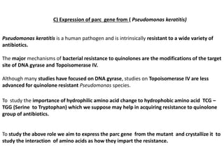 C) Expression of parc gene from ( Pseudomonas keratitis)
Pseudomonas keratitis is a human pathogen and is intrinsically resistant to a wide variety of
antibiotics.
The major mechanisms of bacterial resistance to quinolones are the modifications of the target
site of DNA gyrase and Topoisomerase IV.
Although many studies have focused on DNA gyrase, studies on Topoisomerase IV are less
advanced for quinolone resistant Pseudomonas species.
To study the importance of hydrophilic amino acid change to hydrophobic amino acid TCG –
TGG (Serine to Tryptophan) which we suppose may help in acquiring resistance to quinolone
group of antibiotics.
To study the above role we aim to express the parc gene from the mutant and crystallize it to
study the interaction of amino acids as how they impart the resistance.
 