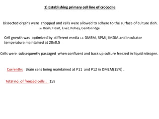 1) Establishing primary cell line of crocodile
Dissected organs were chopped and cells were allowed to adhere to the surface of culture dish.
Cell growth was optimized by different media i.e. DMEM, RPMI, IMDM and incubator
temperature maintained at 28±0.5
Cells were subsequently passaged when confluent and back up culture freezed in liquid nitrogen.
i.e. Brain, Heart, Liver, Kidney, Genital ridge
Currently: Brain cells being maintained at P11 and P12 in DMEM(15%) .
Total no. of freezed cells : 158
 