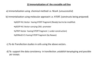 a) Immortalization using chemical method i.e. Niso4. (unsuccessful)
b) Immortalization using molecular approach i.e. hTERT. (constructs being prepared)
2) Immortalization of the crocodile cell line
pEGFP-N1 Vector having hTERT fragment (Ready) but to be modified.
pTRIP-Vector having hTERT fragment ( under construction)
pDSRed2-C1 having hTERT fragment (by Nawaz)
pEGFP-N1 Vector carrying CAG- promoter
c) To do Transfection studies in cells using the above vectors.
d) To support the data consistency in transfection ,establish karyotyping and possible
pcr assays.
 