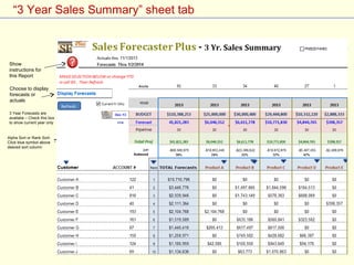 “3 Year Sales Summary” sheet tab
Choose to display
forecasts or
actuals
3 Year Forecasts are
availabe – Check this box
to show current year only
Alpha Sort or Rank Sort-
Click blue symbol above
desired sort column
Show
instructions for
this Report
 