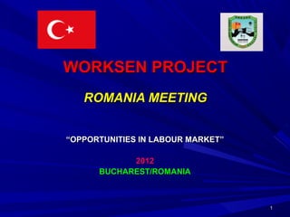 11
WORKSEN PROJECTWORKSEN PROJECT
ROMANIA MEETINGROMANIA MEETING
““OPPORTUNITIES IN LABOUR MARKETOPPORTUNITIES IN LABOUR MARKET””
20122012
BUCHAREST/ROMANIABUCHAREST/ROMANIA
 