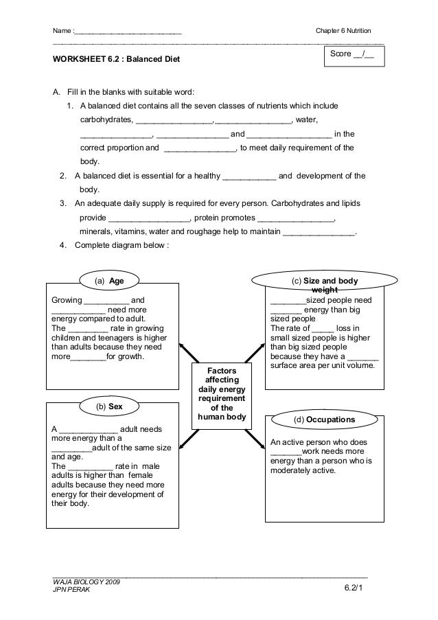 Worksheet 6.2 balanced diet