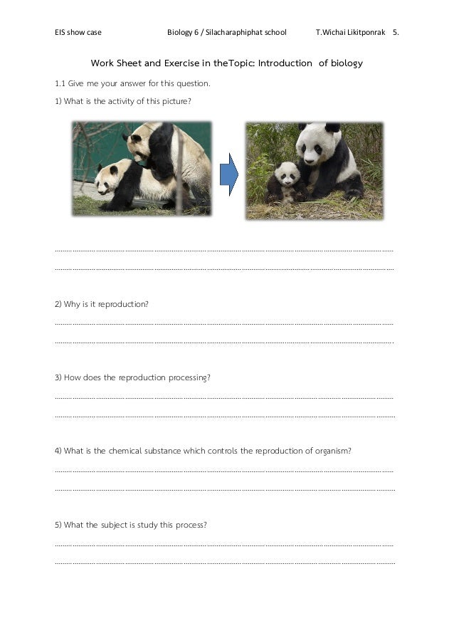 Worksheet biology M.6