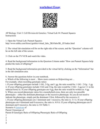 worksheet Essay
AP Biology: Unit 3: Cell Division & Genetics: Virtual Lab #4: Punnett Squares
Instructions
1. Open the Virtual Lab: Punnett Squares:
http://www.mhhe.com/biosci/genbio/virtual_labs_2K8/labs/BL_05/index.html
2. The virtual lab simulation will be on the right side of the screen, and the "Question" column will
be on the left side of the screen.
3. Click on the TV/VCR and watch the video.
4. Read the background information in the Question Column under "How can Punnett Squares help
predict the traits of offspring?"
5. Read the background information provided in the virtual lab by clicking on the "Information" bar
in the lab simulation area.
6. Answer the questions below in your notebook.
a. Which of the following is most ... Show more content on Helpwriting.net ...
For example, when recording genotypic ratios:
i. If your offspring genotypes include 1 GG, 2 Gg, and 1 gg, the ratio would be: 1 GG : 2 Gg : 1 gg
ii. If your offspring genotypes include 2 GG and 2 Gg, the ratio would be: 2 GG : 2 gg (or 1:1 in the
reduced form) iii. If your offspring genotypes are 4 gg, then the ratio would be written as: 4 gg
b. When you record phenotypic ratios for a monohybrid cross, there are only two possible
phenotypes – either the dominant phenotype or the recessive phenotype. So you do not need to
indicate the phenotype, simply put the dominant # first, followed by the recessive #:
i. If your offspring phenotypes are 3 dominant and 1 recessive, the ratio is: 3:1 ii. If your offspring
phenotypes are 4 dominant and 0 recessive, the ratio is: 4:0 iii. If your offspring phenotypes are 0
dominant and 4 recessive, the ratio is: 0:4 Table 1:
Scenario # Genotype of
Parent I Genotype of
Parent II Genotypic Ratio of Offspring Phenotypic Ratio of Offspring
1
2
3
4
 