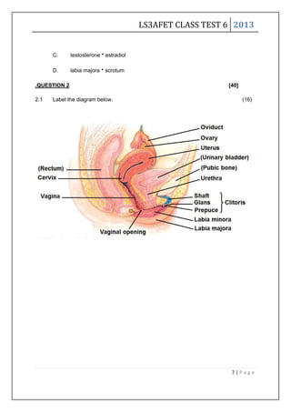 LS3AFET CLASS TEST 6 2013
7 | P a g e
C. testosteroneestradiol
D. labia majorascrotum
.QUESTION 2 [40]
2.1 Label the diagram below. (16)
 