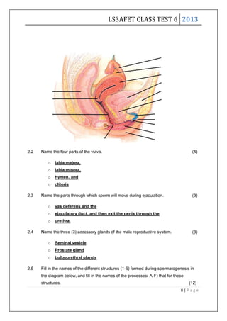 LS3AFET CLASS TEST 6 2013
8 | P a g e
2.2 Name the four parts of the vulva. (4)
o labia majora,
o labia minora,
o hymen, and
o clitoris
2.3 Name the parts through which sperm will move during ejaculation. (3)
o vas deferens and the
o ejaculatory duct, and then exit the penis through the
o urethra.
2.4 Name the three (3) accessory glands of the male reproductive system. (3)
o Seminal vesicle
o Prostate gland
o bulbourethral glands
2.5 Fill in the names of the different structures (1-6) formed during spermatogenesis in
the diagram below, and fill in the names of the processes( A-F) that for these
structures. (12)
 