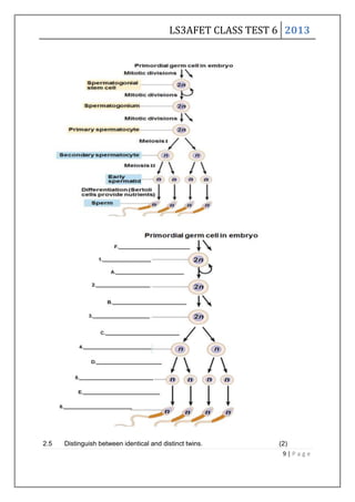 LS3AFET CLASS TEST 6 2013
9 | P a g e
2.5 Distinguish between identical and distinct twins. (2)
 