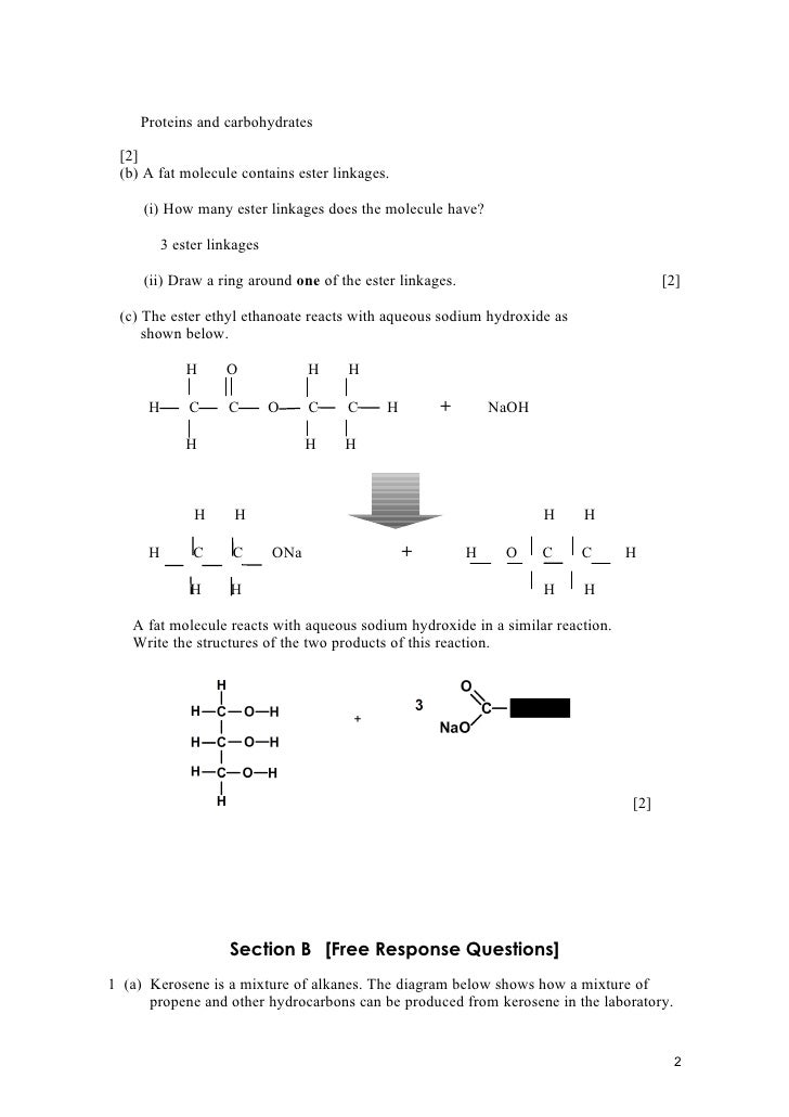 Macromolecule worksheet