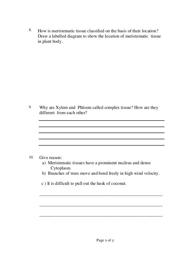 Worksheet on plant tissues Xylem And Phloem Worksheet