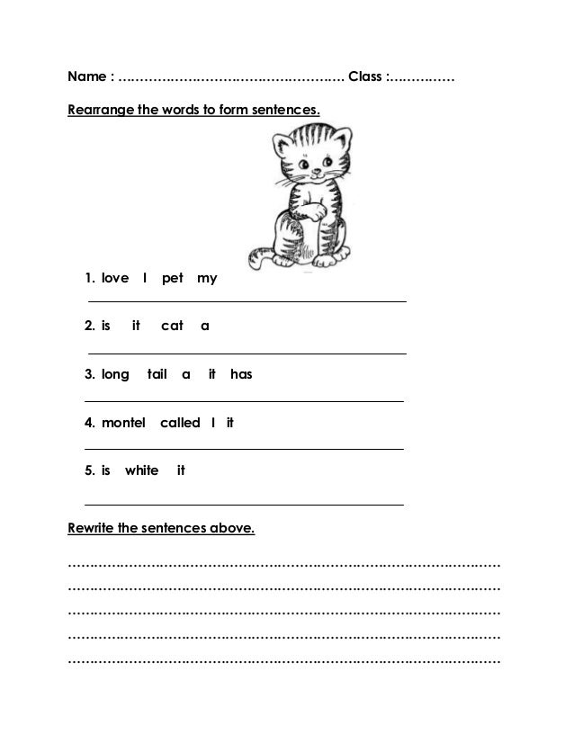 Make A Sentence With Cat Words Make A Sentence With Cat Words