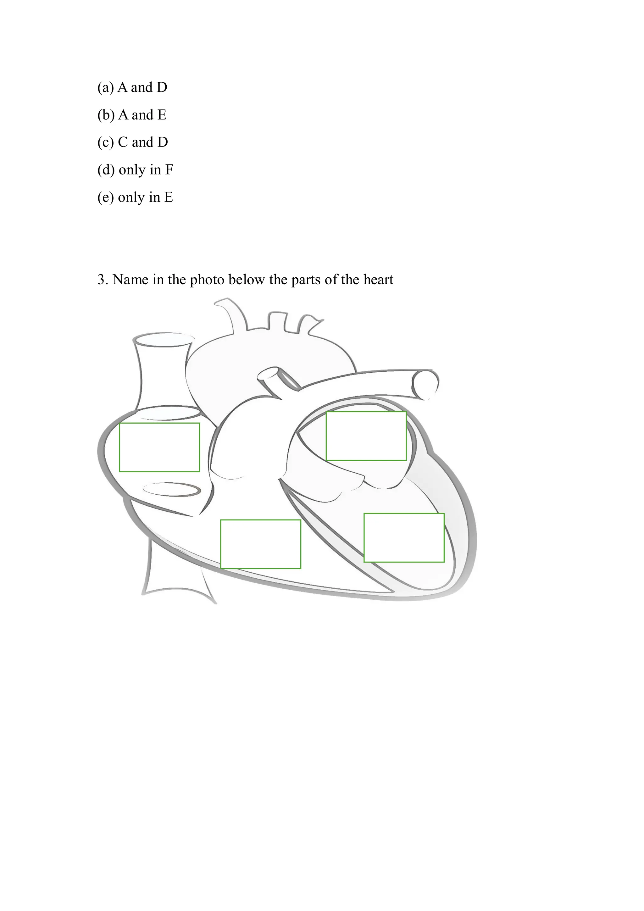 WORKSHEET THE CIRCULATORY SYSTEM.pdf/ For Biology Teachers and Students