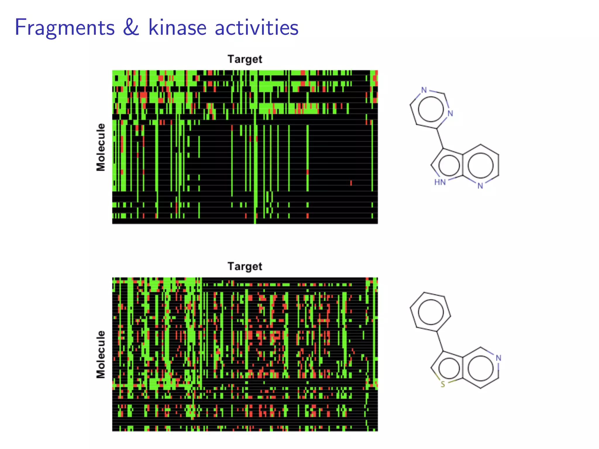 Fragments & kinase activities
 