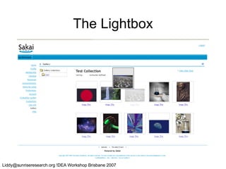 The Lightbox 