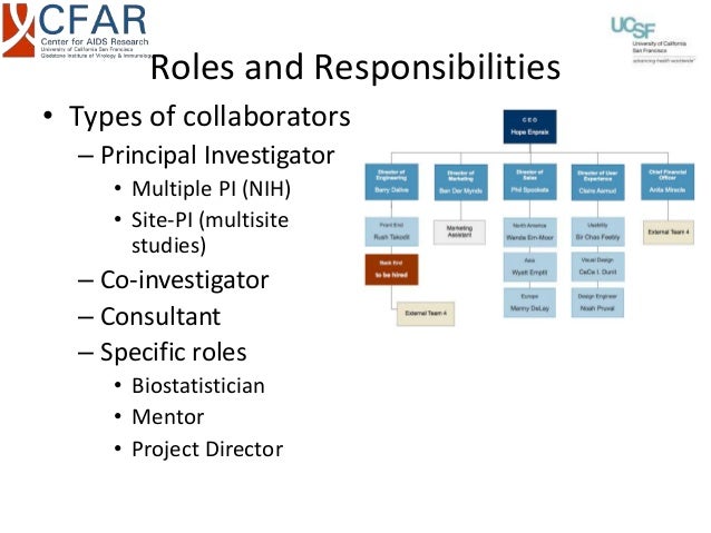 roles on a research team