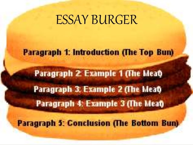 English essay structure level