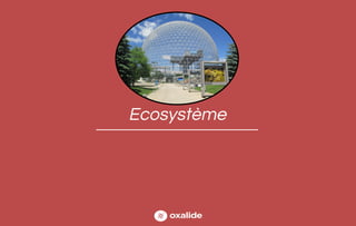 Ecosystème
 