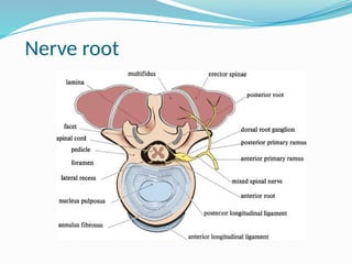 Nerve conduction study and electromyography | PPTX