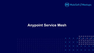 Anypoint Service Mesh
 