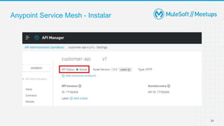 Anypoint Service Mesh - Instalar
24
 