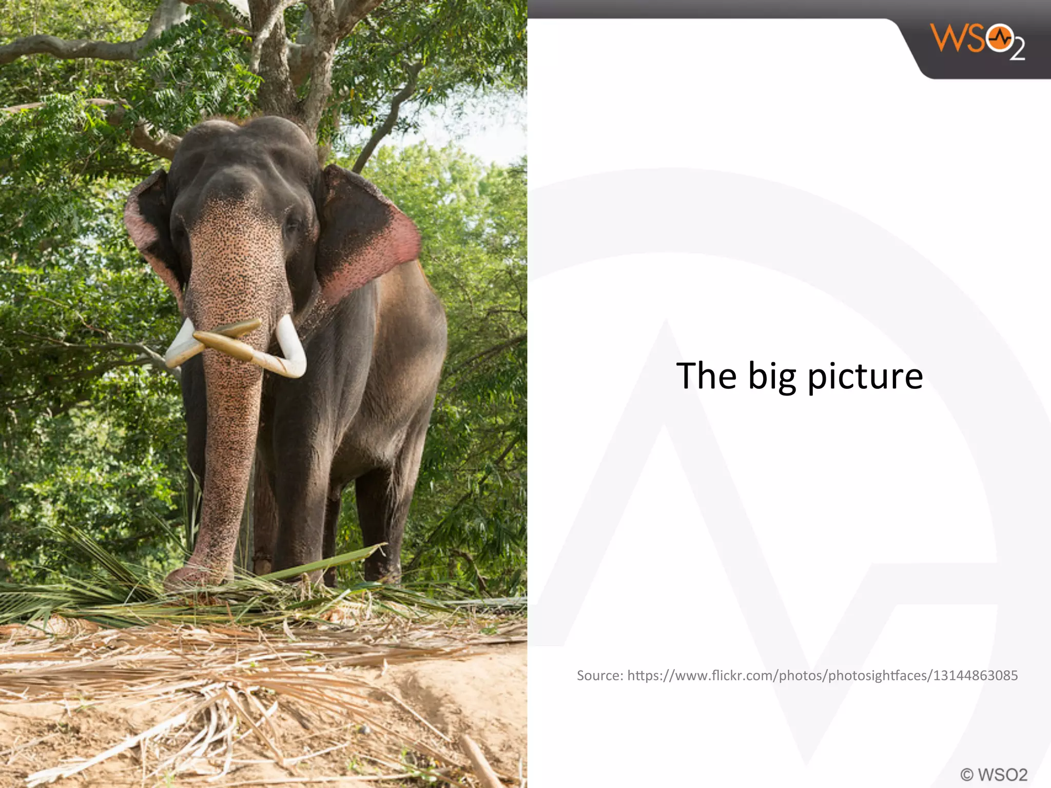 The	
  big	
  picture	
  
Source:	
  hTps://www.ﬂickr.com/photos/photosighJaces/13144863085	
  
 