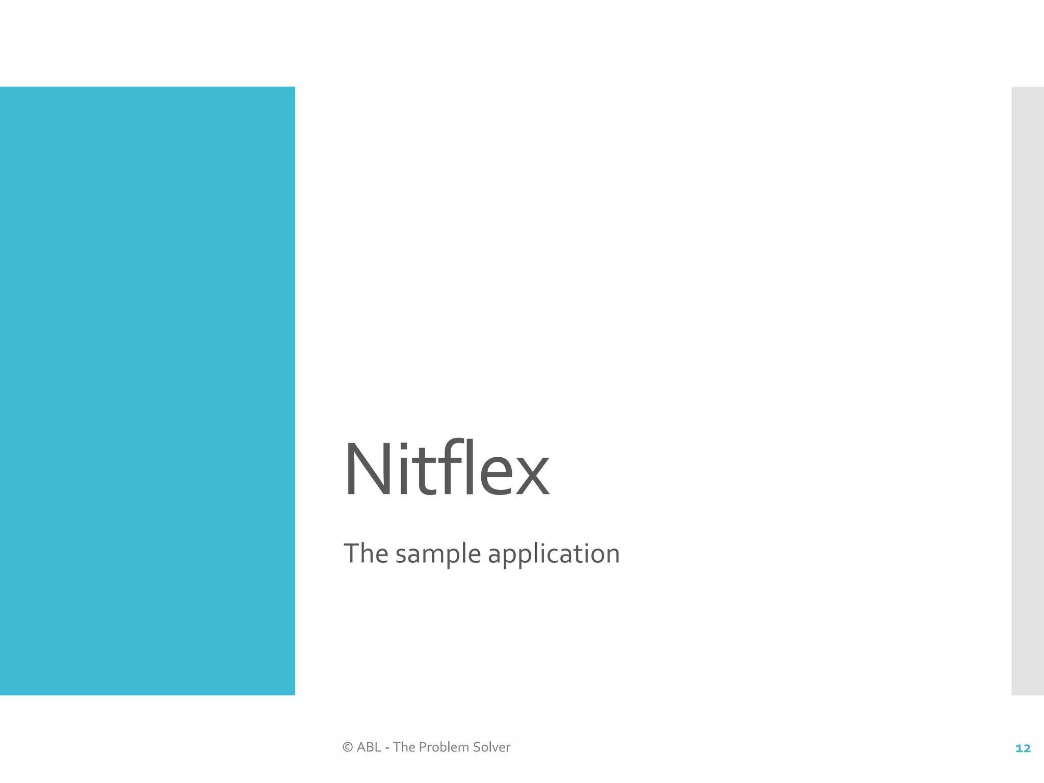 Nitflex The sample application © ABL - The Problem Solver 12 