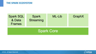 CETAX - All Rights Reserved
THE SPARK ECOSYSTEM
 