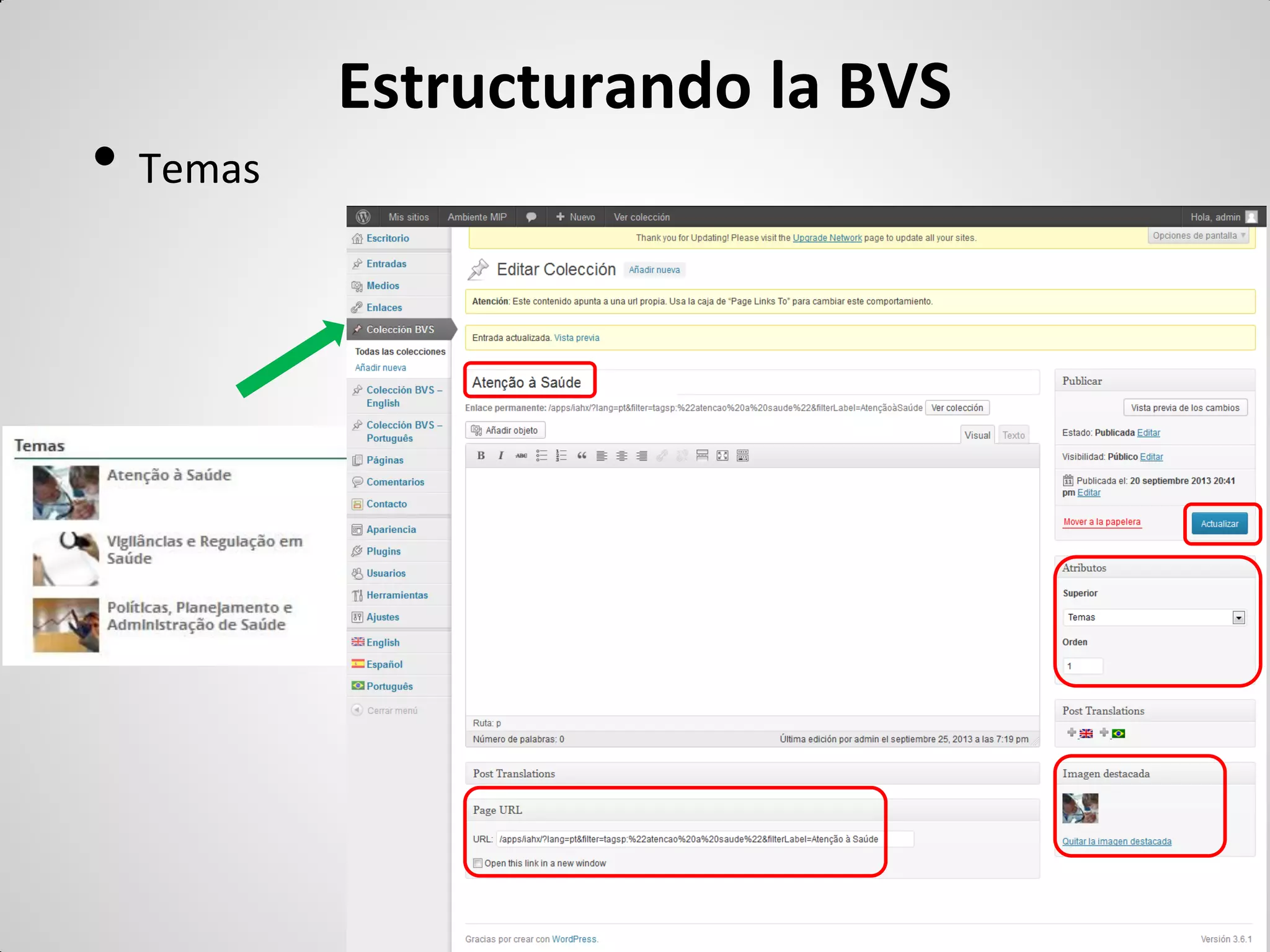 Estructurando la BVS 
•Temas  