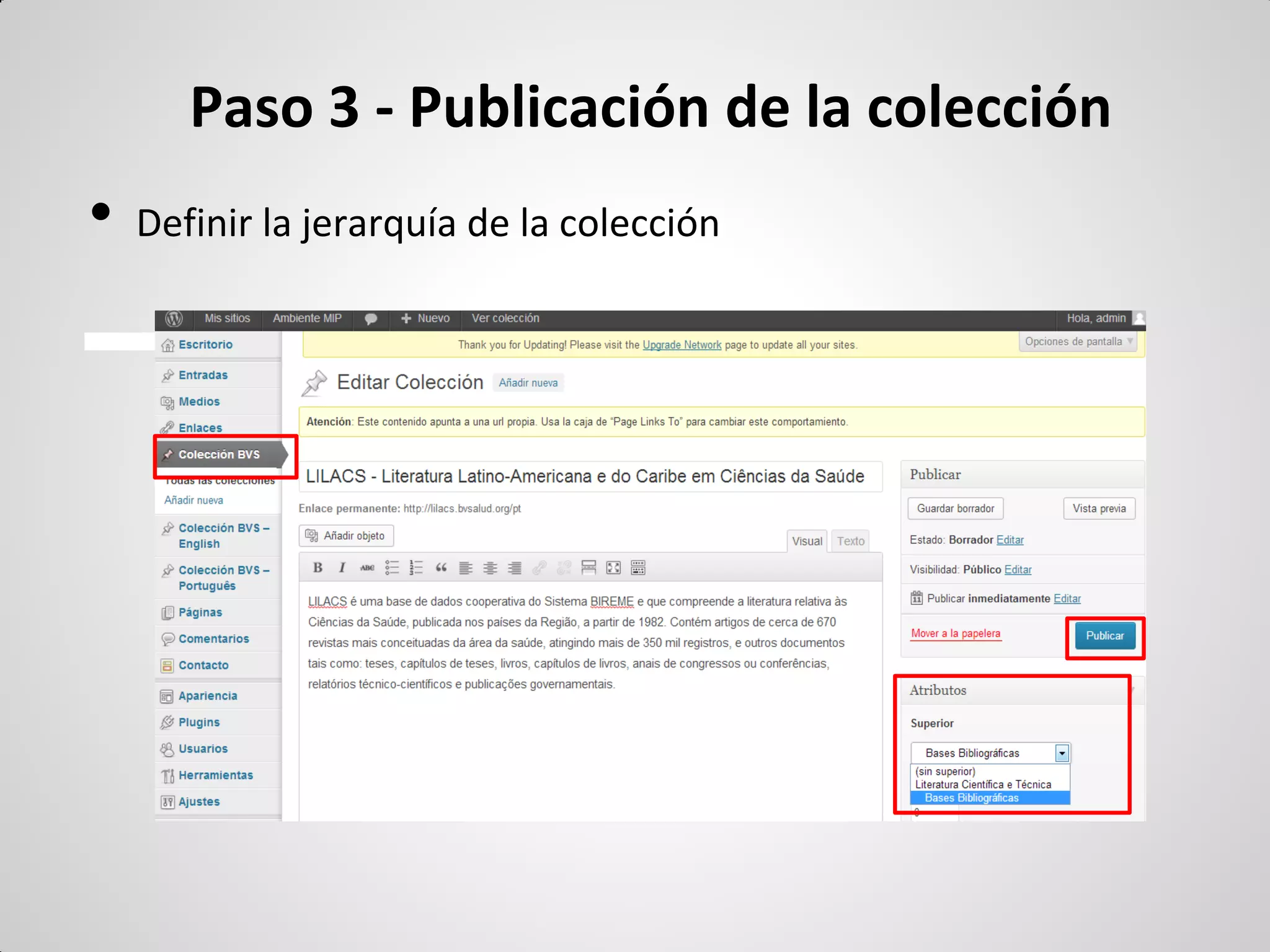 Paso 3 - Publicación de la colección 
•Definir la jerarquía de la colección  