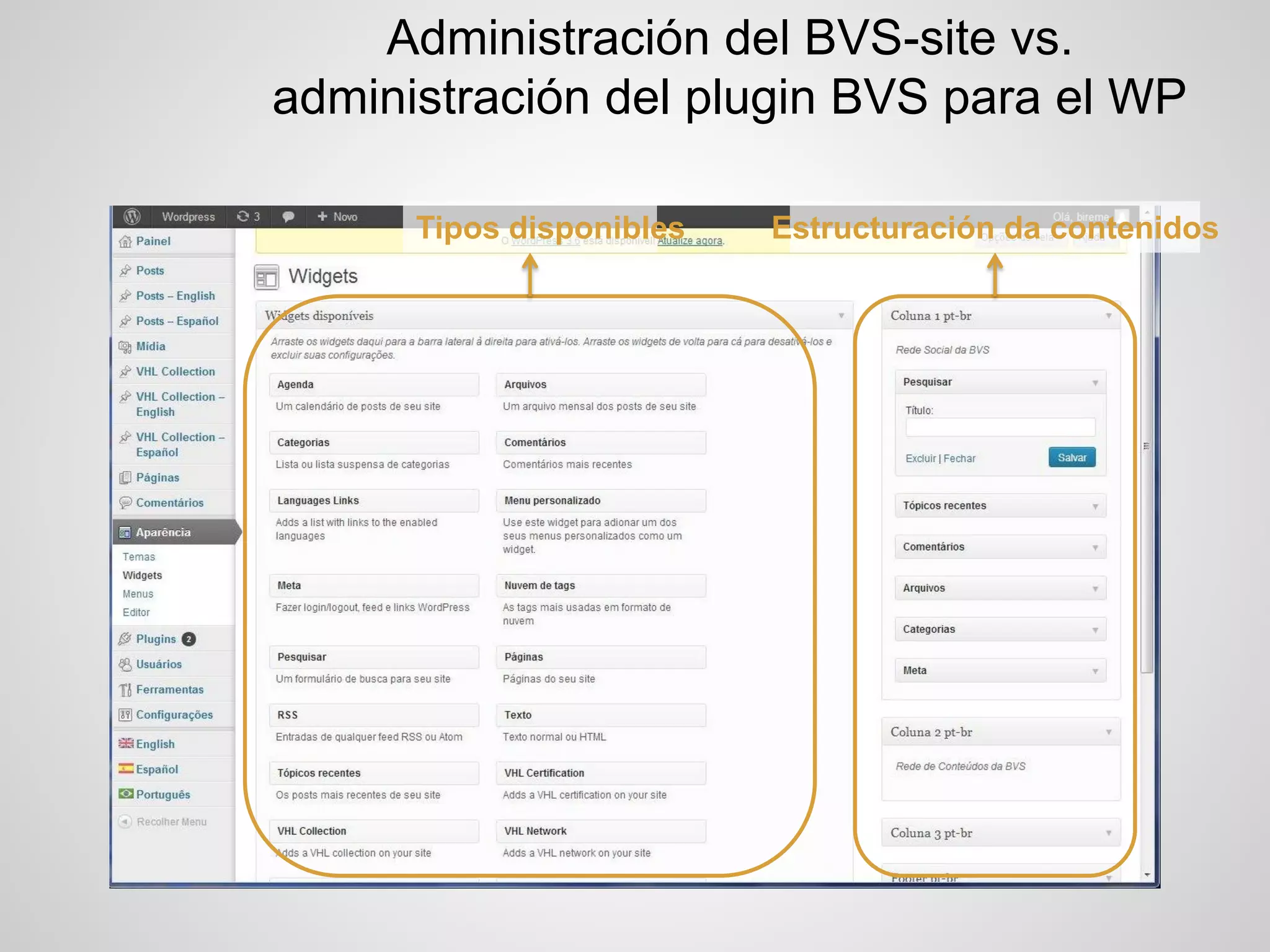 Administración del BVS-site vs. administración del plugin BVS para el WP 
Tipos disponibles 
Estructuración da contenidos  