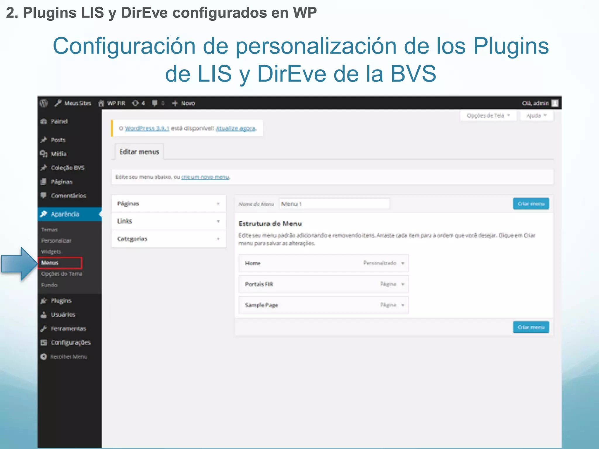 Configuración de personalización de los Plugins 
de LIS y DirEve de la BVS 
2. Plugins LIS y DirEve configurados en WP 
 