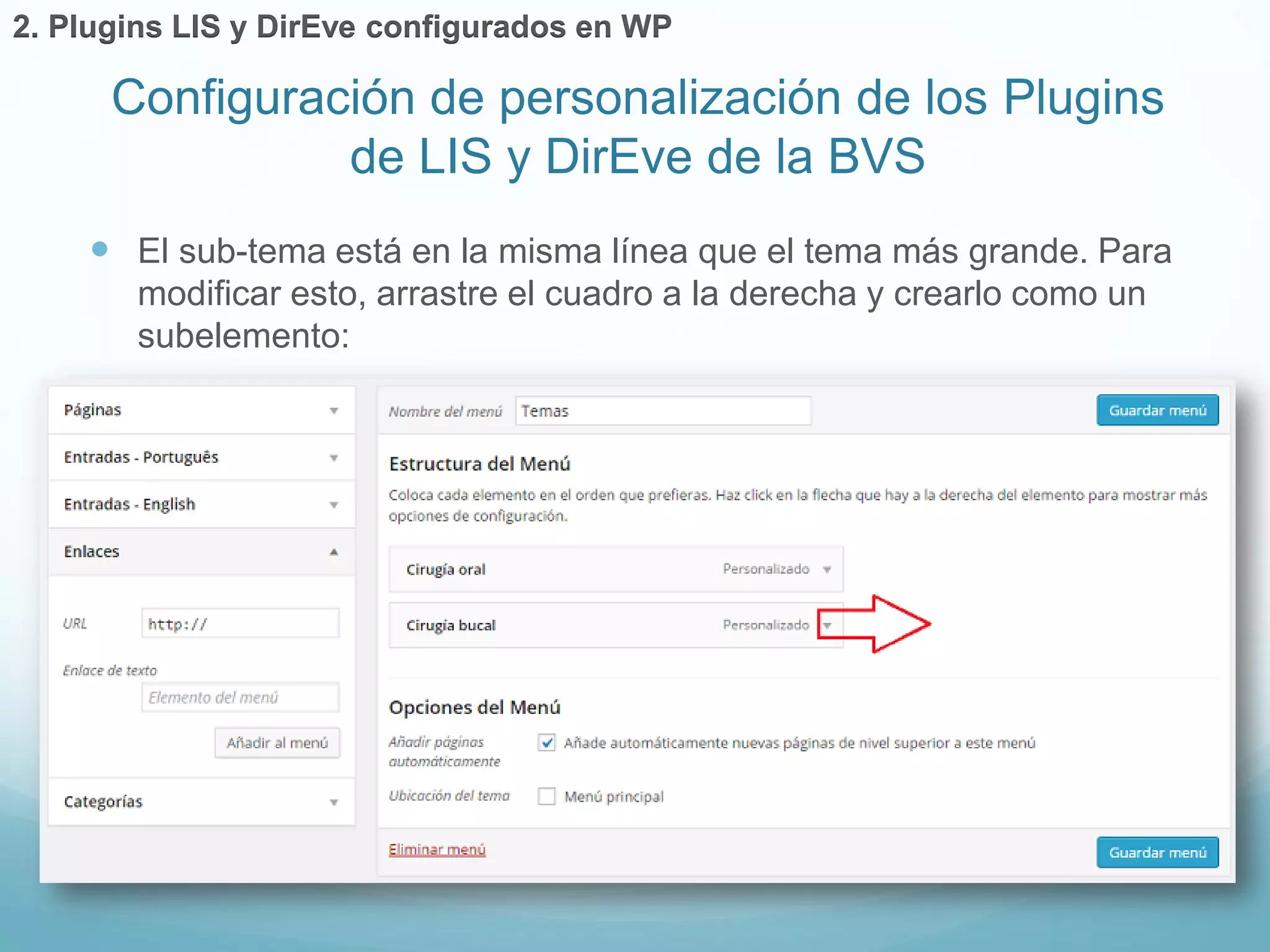  El sub-tema está en la misma línea que el tema más grande. Para 
modificar esto, arrastre el cuadro a la derecha y crearlo como un 
subelemento: 
Configuración de personalización de los Plugins 
de LIS y DirEve de la BVS 
2. Plugins LIS y DirEve configurados en WP 
 