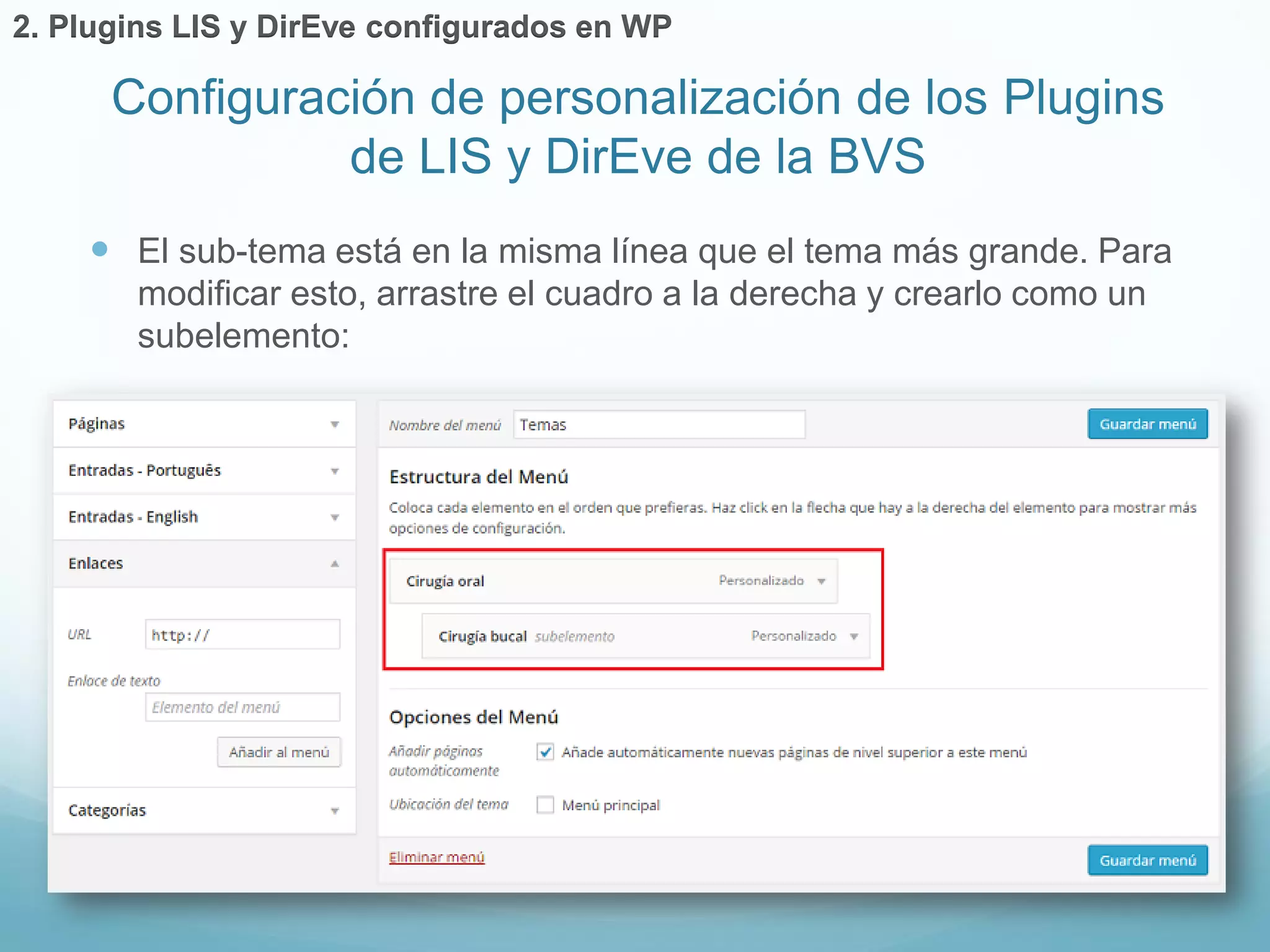  El sub-tema está en la misma línea que el tema más grande. Para 
modificar esto, arrastre el cuadro a la derecha y crearlo como un 
subelemento: 
Configuración de personalización de los Plugins 
de LIS y DirEve de la BVS 
2. Plugins LIS y DirEve configurados en WP 
 