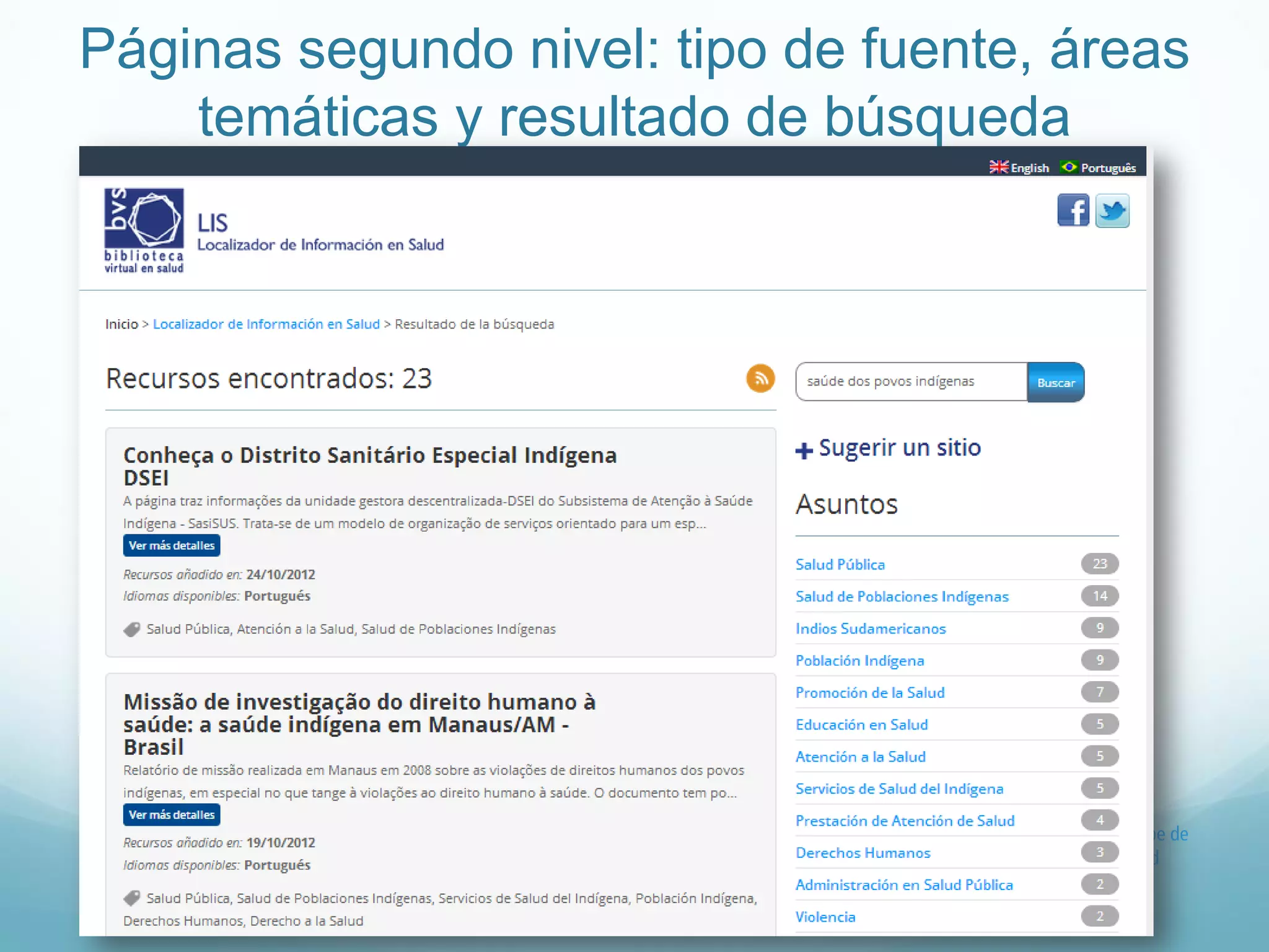 Páginas segundo nivel: tipo de fuente, áreas 
temáticas y resultado de búsqueda 
 