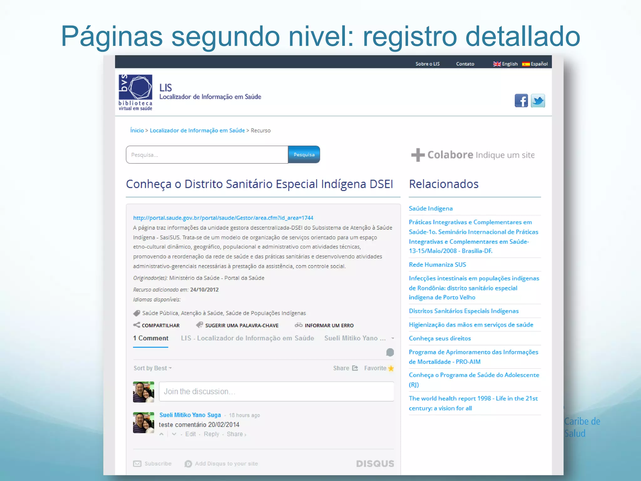 Páginas segundo nivel: registro detallado 
 