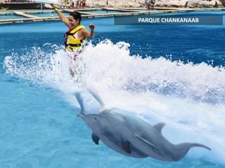 PARQUE CHANKANAAB
 