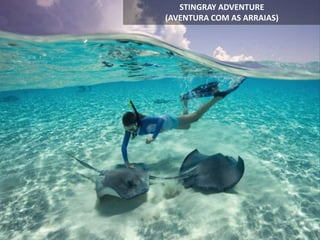 STINGRAY ADVENTURE
(AVENTURA COM AS ARRAIAS)
 