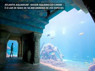 ATLANTIS AQUARIUM - MAIOR AQUÁRIO DO CARIBE -
É O LAR DE MAIS DE 50.000 ANIMAIS DE 250 ESPÉCIES
 