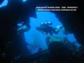 RMS RHONE MARINE PARK - 1980 - PRIMEIRO E
ÚNICO PARQUE NACIONAL MARINHO DE BVI
 