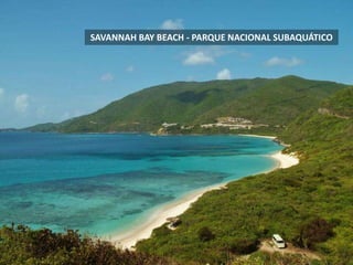 SAVANNAH BAY BEACH - PARQUE NACIONAL SUBAQUÁTICO
 